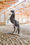Life-size Welded Steel Rearing Horse Sculpture