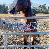 Personalized Horse Shoe Stall Plate