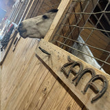 Personalized Horse Shoe Stall Plate