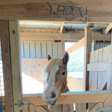 Personalized Horse Shoe Stall Plate